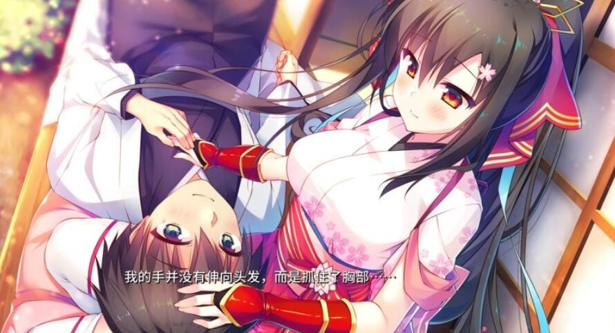 将军大人芳华正茂V1.12精翻汉化硬盘版【大型/汉化/全CV】【4G】05